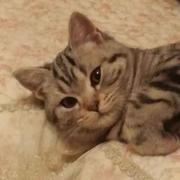 用户7662599637868的个人资料头像