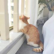 南诏的个人资料头像