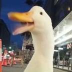 555668fh头像