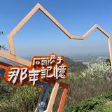 塞得趣嘿头像