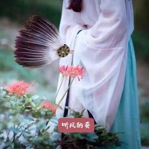 听风的蚕评书头像