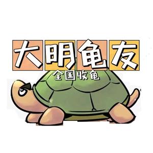 大明龟友（全国收龟）头像