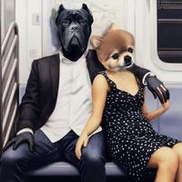 网络写书人小志头像