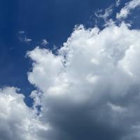 用户4547211061122头像