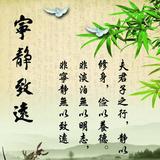 娟子49195头像