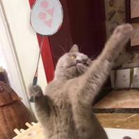 用户8830409462812头像