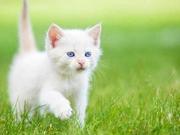 cloud7的个人资料头像