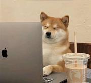 天霆小俞的个人资料头像