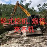 不变D坚持头像