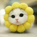 Hooray丶头像