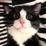 AndrewW的个人资料头像