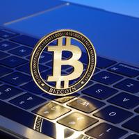 右侧交易派头像