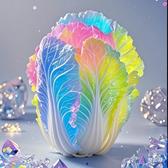 不哴冼笙头像