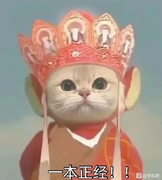 果冻丸子吖的个人资料头像