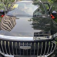 墨尔本善良头像