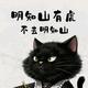 刘博士给你讲道理头像