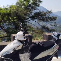 小毛驴飞吧头像