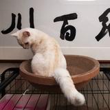 用户616671044920头像