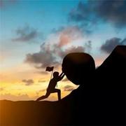 晨阳703的个人资料头像