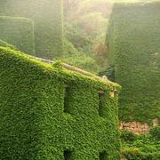 ximi的个人资料头像