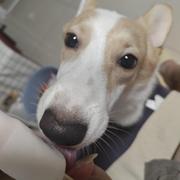 刀乐嘎嘎乐的个人资料头像