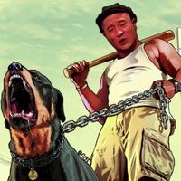 宋pulsEV车主头像