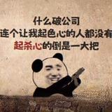 石头31230头像