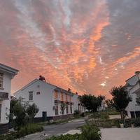 博学多闻洛伊头像