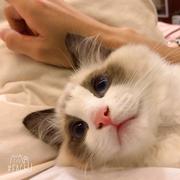 提莫小时候可萌啦的个人资料头像