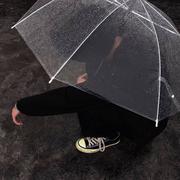 雪落在了南方的个人资料头像