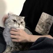 北城南笙丶的个人资料头像
