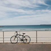 威少711的个人资料头像