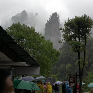 小雨老爷1头像