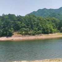 淡泊的小鱼oc头像