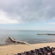 不砍柴的樵夫的个人资料头像