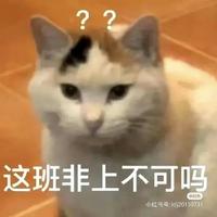 勇者蛋糕9y6头像