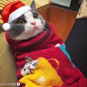 EasonXys的个人资料头像