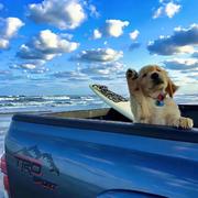 constPc的个人资料头像