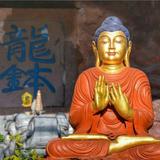 潇慶靈头像