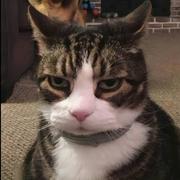 meiiuiliisnd的个人资料头像