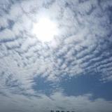 星薇一头像