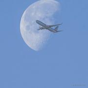 眰恦0629的个人资料头像