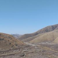 用户42551484597头像