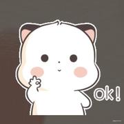 林新月的个人资料头像