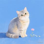 皮皮爱英语的个人资料头像