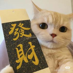 小飞侠侠头像
