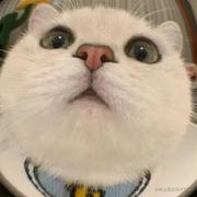 苏苏1111111的个人资料头像