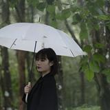 行走在云端的人zy头像