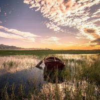 用户2868335018865头像