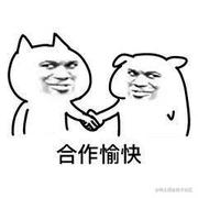 Siocy的个人资料头像